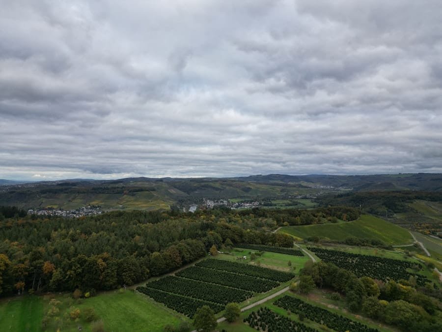 Photo cv luxembourgeois