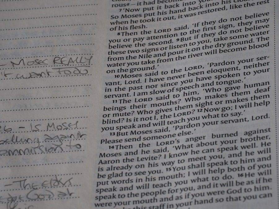 letter of recommendation