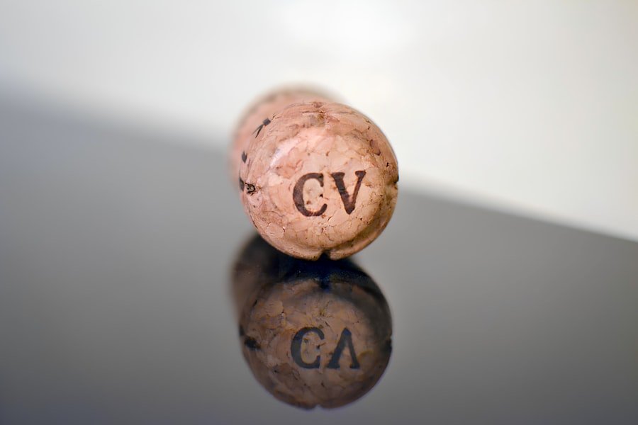 icon cv