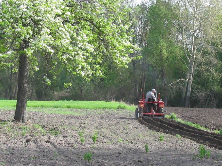 auxiliaire puériculture