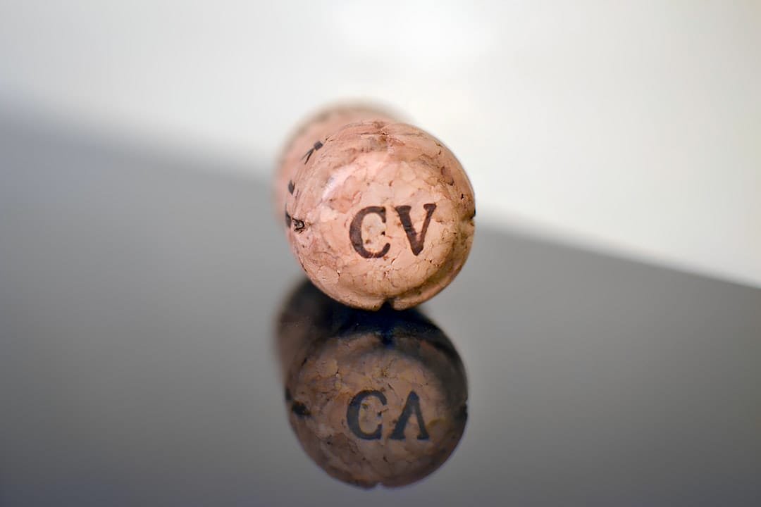 Comment faire un CV efficace