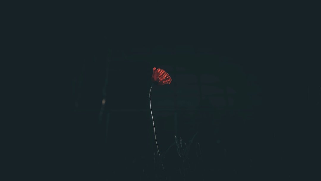 Comment rédiger un CV ATS friendly