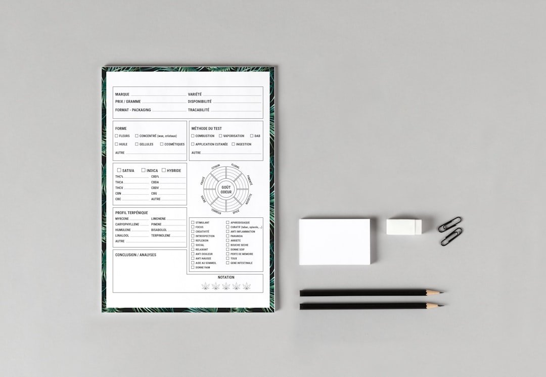 Conseils de mise en page CV pour un impact maximal